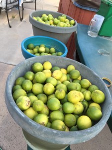 The remaining limes!